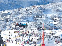 Snowy Monaro Regional Council Smart Visitor Platform